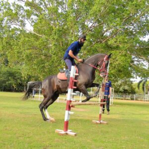 Exclusive Equestrian Retreat