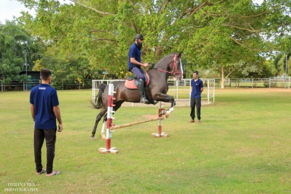 Nature Trail Horseback Ride (for Foreigners) - Image 3